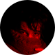Lil Alex