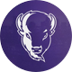 Lipscomb Bisons