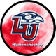 Liberty Women's Hockey