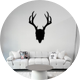 Mad Rabbit Studio