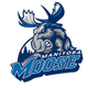 Manitoba Moose