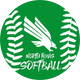 North Texas Softball