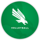 Mean Green Volleyball