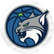 Minnesota Lynx