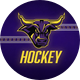 Minnesota State Hockey