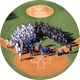 MLB LiveContentTeam