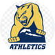 MSJ Athletics