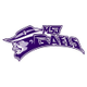 MSJ Student Section