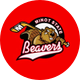 Minot State Men's Hockey
