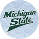 Michigan State ACHA D2 Hockey
