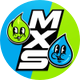 MxS VALORANT