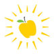 Native Sun