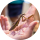 NC Museum of Natural Sciences Teen Programs