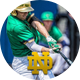 Notre Dame Baseball
