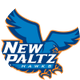 New Paltz Hawks