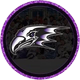 Niagara University ACHA D2 Collegiate Hockey
