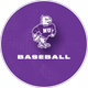 Niagara University Baseball