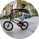 NIGEL SYLVESTER