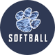 Nobles Varsity Softball