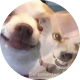 notveronxca