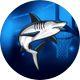 NSU Men's Basketball