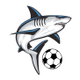 NSU Men's Soccer