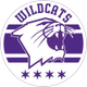 Northwestern Baseball