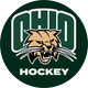 Ohio University Hockey DII