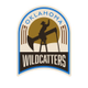 Oklahoma Wildcatters