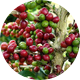 One Nation Coffee