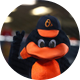 The Oriole Bird