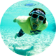 parks bonifay
