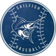 PBA Baseball