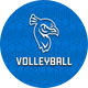 Saint Peter's Volleyball