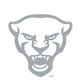 Pitt Basketball