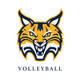 Quinnipiac Volleyball