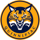 Quinnipiac Athletics