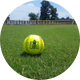 Murray State Softball
