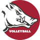 Razorback Volleyball