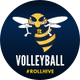 Yellowjackets Volleyball