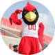 Reggie Redbird