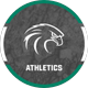Northeastern State Athletics