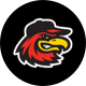 Rochester Red Wings