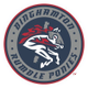 Binghamton Rumble Ponies