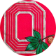 Ohio State Running Club