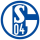 Schalke 04 USA🇺🇸