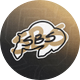 Sko Buffs Sports