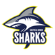 Sheffield Junior Sharks