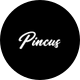 Eli Pincus