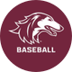 Saluki Baseball